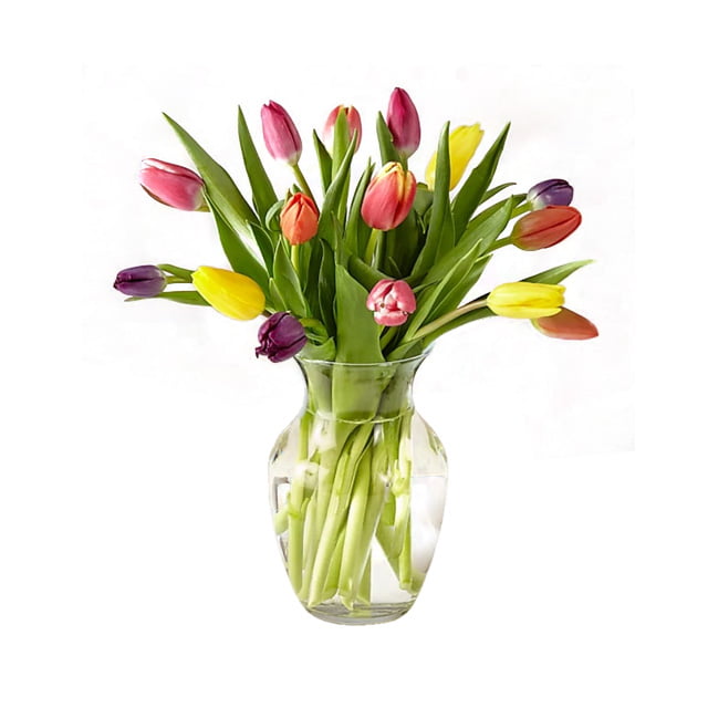 15 Stems Tulips with Vase | Multicolor Tulips Bouquet | Online Delivery