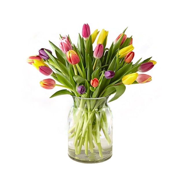 Mix Tulips 25 Stems | Mix-Color Tulips in Glass Vase - Petal Box